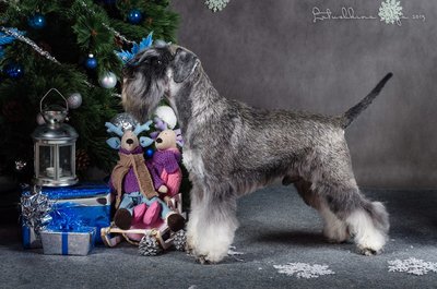 ванька.jpg (134.78 КБ, Просмотров: 2437) ванька.jpg