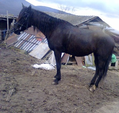 cRlIOkE4kt0.jpg (92.42 КБ, Просмотров: 8418) cRlIOkE4kt0.jpg