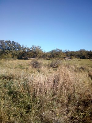 1.jpg (472.54 КБ, Просмотров: 4656) 1.jpg