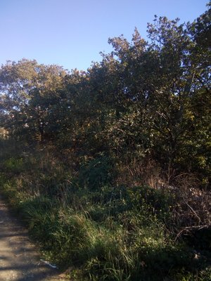 1.jpg (499.18 КБ, Просмотров: 4580) 1.jpg