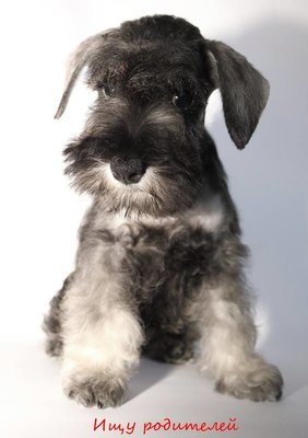 10344976_481656061967764_1772583057_n.jpg (54.07 КБ, Просмотров: 2436) 10344976_481656061967764_1772583057_n.jpg