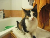 IMG_8165.jpg (7.51 КБ, Просмотров: 16333) IMG_8165.jpg