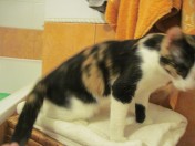 IMG_8166.jpg (7.83 КБ, Просмотров: 16581) IMG_8166.jpg