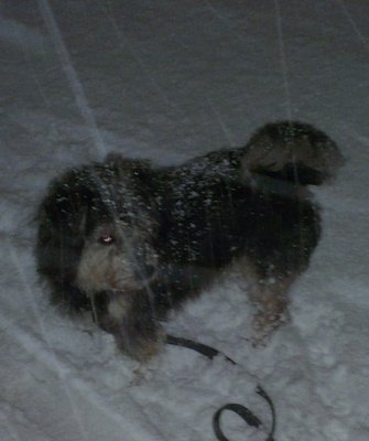 IMAG0264.jpg (250.87 КБ, Просмотров: 15024) IMAG0264.jpg