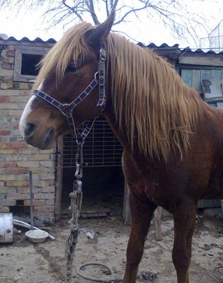 fs9xh5XhhmA.jpg (81.01 КБ, Просмотров: 8266) fs9xh5XhhmA.jpg